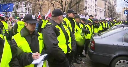 Kontrmanifestacja narodowców: demonstranci przynieśli świńskie łby