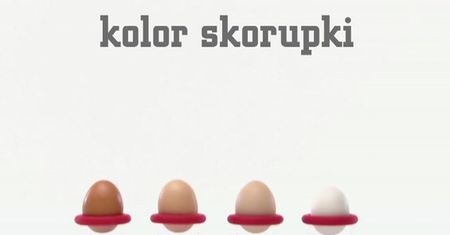 Fakty i mity o jajkach