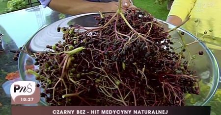 Czarny bez - najlepszy na jesienne przeziębienia