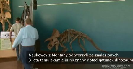 Odkryto nowy gatunek dinozaura