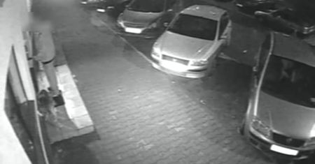 21-latka z Będzina ukradła psa pod okiem kamery