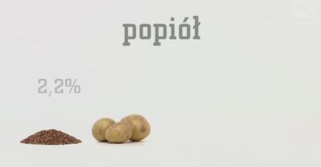Kasza -  niezbędna w diecie kobiet i osób dbających o linię