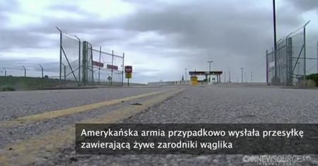 Żywe bakterie wąglika trafiły do Australii