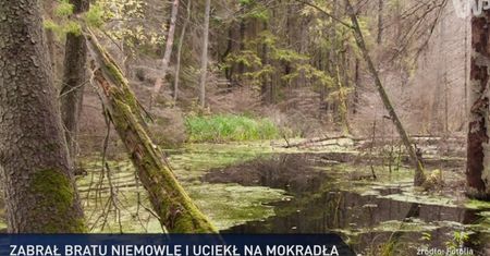 #dziejesiewpolsce: szaleniec porwał niemowlę