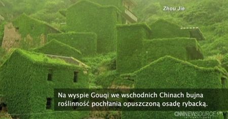 Natura pochłania opuszczoną osadę
