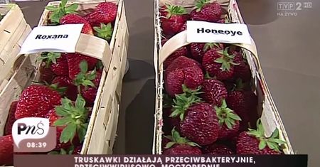 Częste błędy popełniane podczas kupowania truskawek