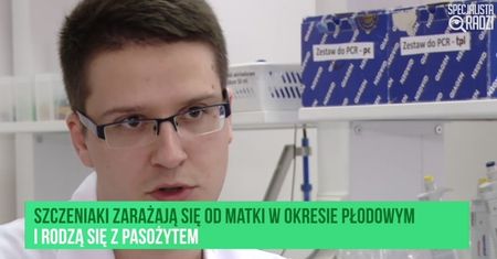 Pasożyty zwierząt jeszcze groźniejsze dla ludzi