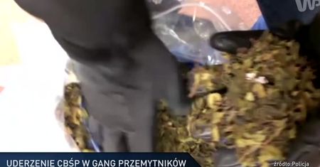 #dziejesiewpolsce: narkotyki z Afryki