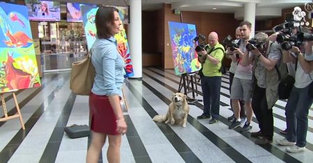 Anna Popek... z psem w "Pytaniu na śniadanie"!