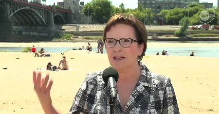 Kopacz zaczepia ludzi na plaży