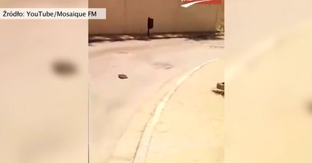 Amatorskie nagranie z momentu zamachu w Tunezji