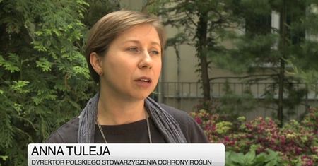 Czy opryski do roślin są bezpieczne dla zdrowia?