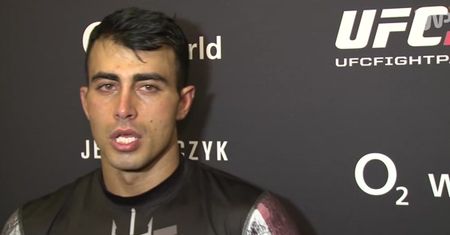 Amirkhani po UFC w Berlinie