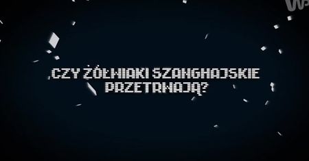 Czy żółwiaki szanghajskie przetrwają? [Pixel]