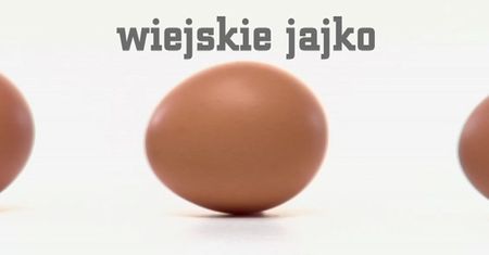 Jak kupić smaczne i zdrowe jajka?