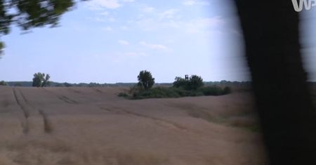 Największe dzikie stado koni w Europie. Oto stadnina Reagana