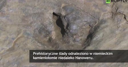 Prehistoryczne odkrycie w kamieniołomie nieopodal Hanoweru