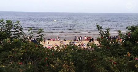 Wieloryb na polskiej plaży! "Jest w stanie delikatnego rozkładu"