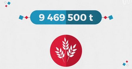 Statistica: polskie rolnictwo to nie światowa czołówka