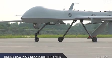 #dziejesiewpolsce: Predatory nad Bałtykiem