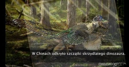 Największy skrzydlaty dinozaur znany nauce