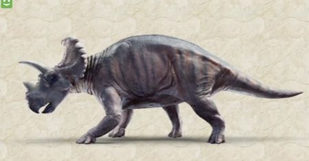 Doniosłe paleontologiczne odkrycie