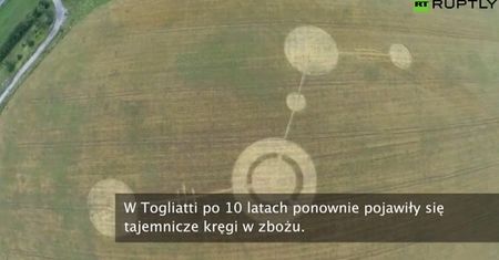 W Rosji zauważono sześć kręgów w zbożu