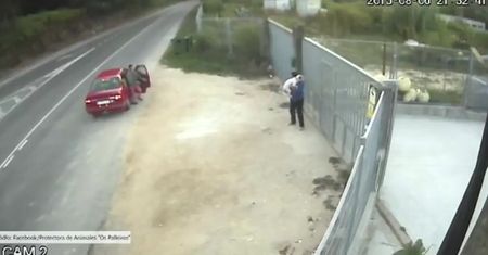 Przerzucili psa przez ogrodzenie