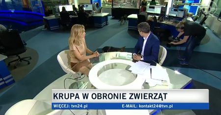 Joanna Krupa szuka domu dla psów ze schroniska
