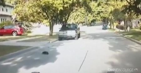Policjant uratował skunksa. To mogło się źle skończyć