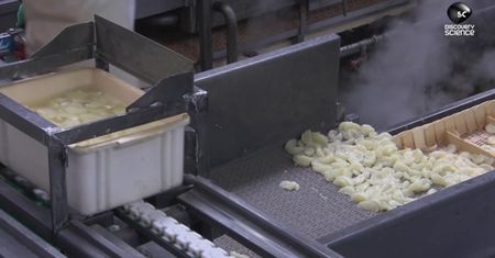 Jak puszkowane są owoce cytrusowe?