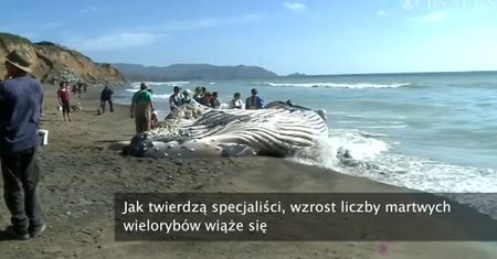 Niecodzienne przypadkowe odkrycie rybaka