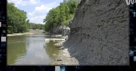 Dzieje doniosłego paleontologicznego odkrycia [Pixel]