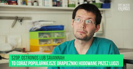 Moda na dzikie zwierzęta [ Specjalista radzi]