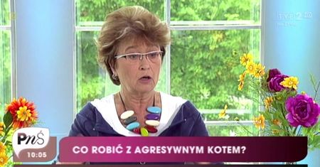 Jak radzić sobie z agresywnym kotem?