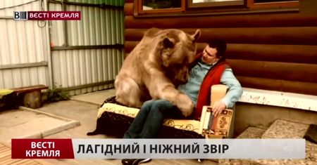 Niedźwiedź je, ogląda TV i bawi się z właścicielami