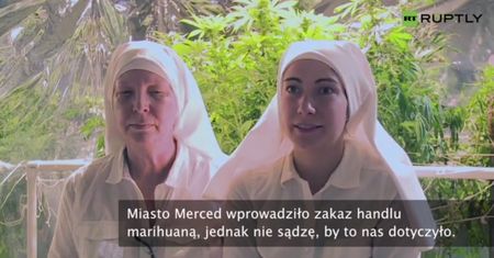 Samozwańcze zakonnice produkują leki z marihuany. Mimo zakazu