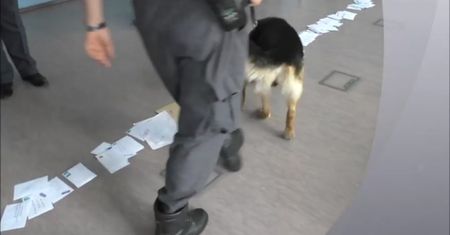 Narkotyki w dziecięcej laurce