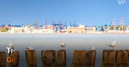 Plaże Trójmiasta