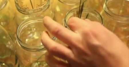 Ogórki kiszone. Z tym przepisem wyjdą każdemu