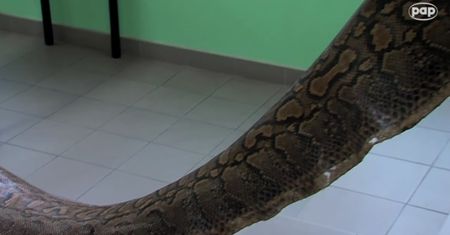 Jakich pamiątek nie wolno przywozić z wakacji?