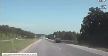 Niedźwiedź zderzył się z samochodem na autostradzie