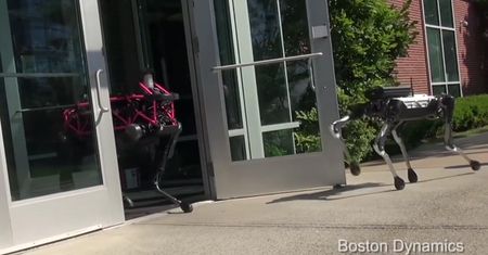 Pozmywa naczynia, przyniesie napój z lodówki - domowy robot