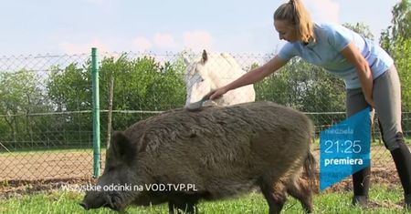 "Rolnik szuka żony": zwiastun 4. odcinka