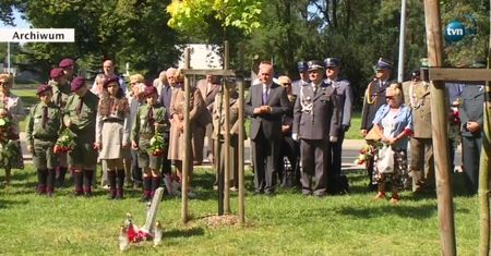 "Dęby pamięci" z Poznania to klony!