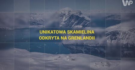 Unikatowa skamielina odkryta na Grenlandii [Pixel]
