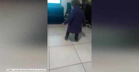 Dziewczynkę rozbawiła... kropka ze wskaźnika laserowego