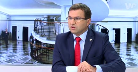 Girzyński w programie "WP rozmowa": delfiny źle kończą, nie tylko w PiS