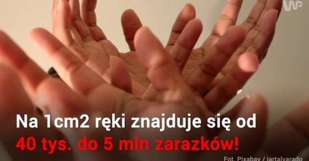 Bakterie czyhają na nas wszędzie. Jak skutecznie z nimi walczyć?