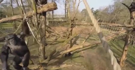 Uwaga na głowę! Atak dronów